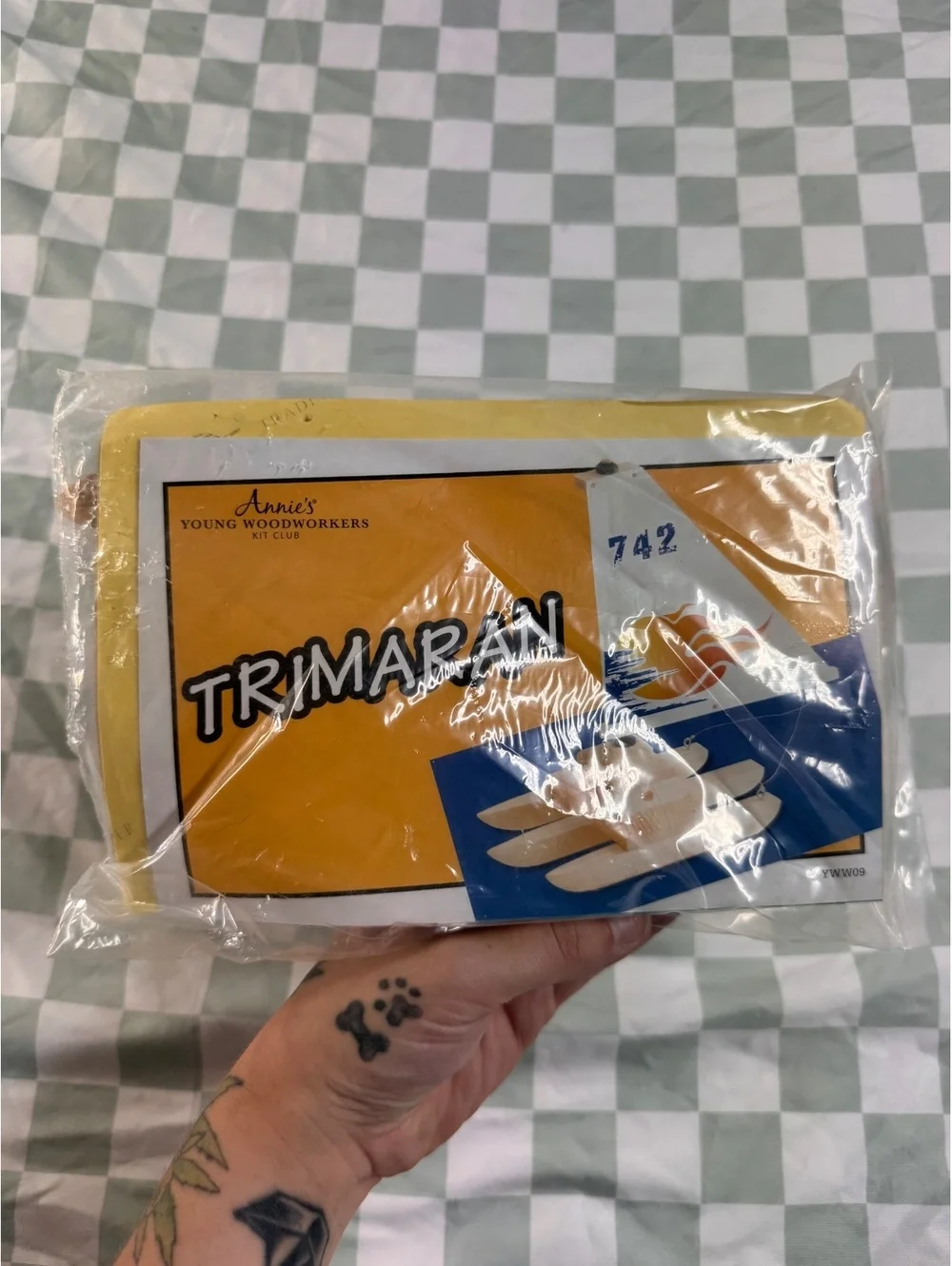 Annie's Young Woodworkers Trimaran Wooden Model Kit